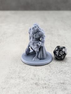 Troll 2 | TTRPG Miniature