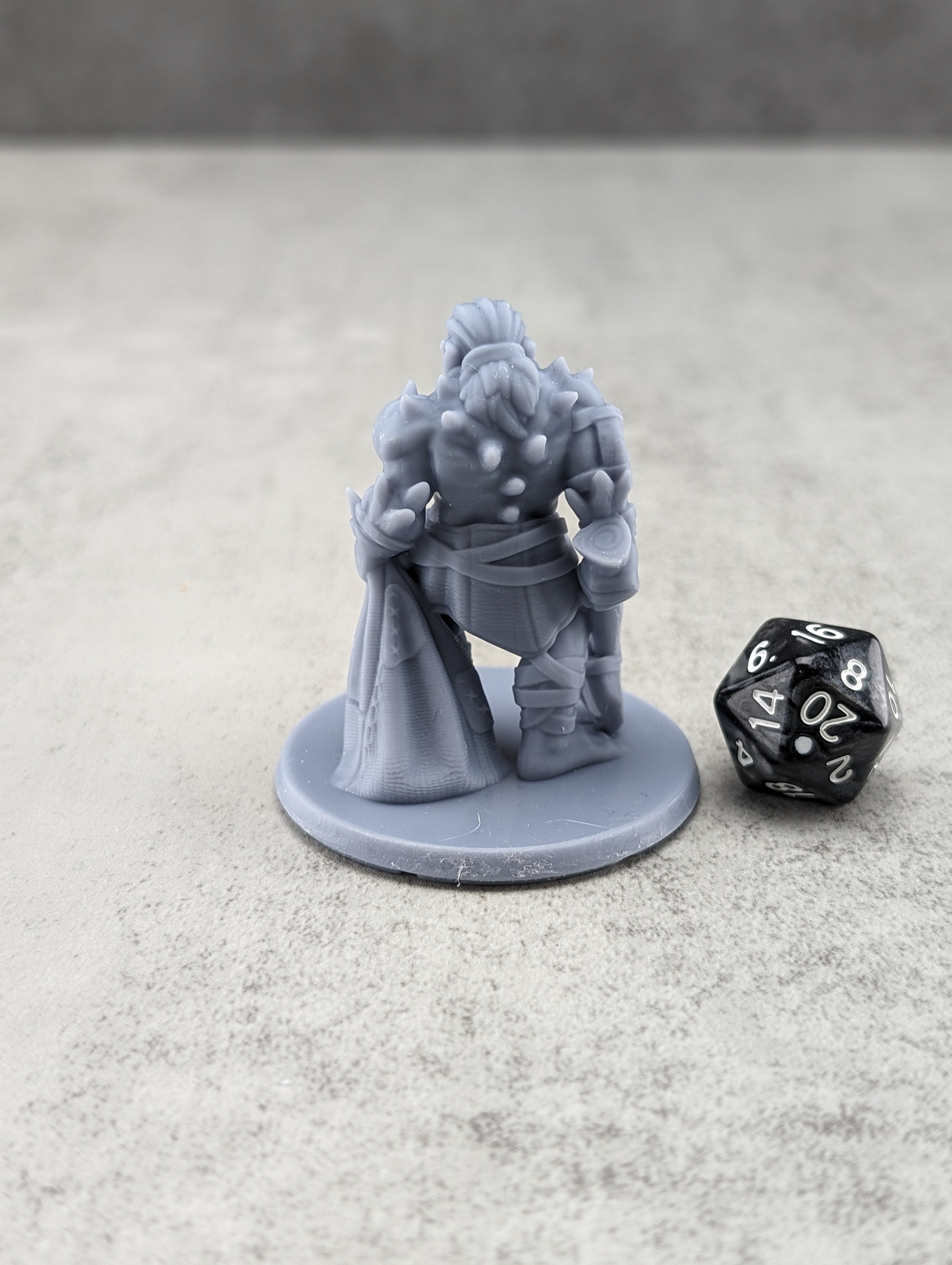 Troll 2 | TTRPG Miniature